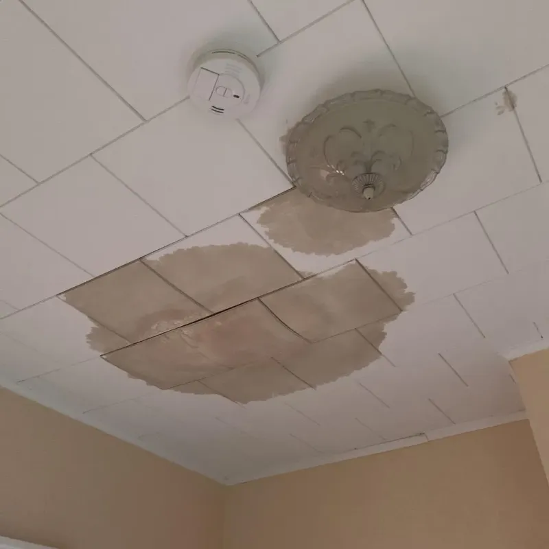 Ceiling Water Damage Repair in Wilberforce, OH