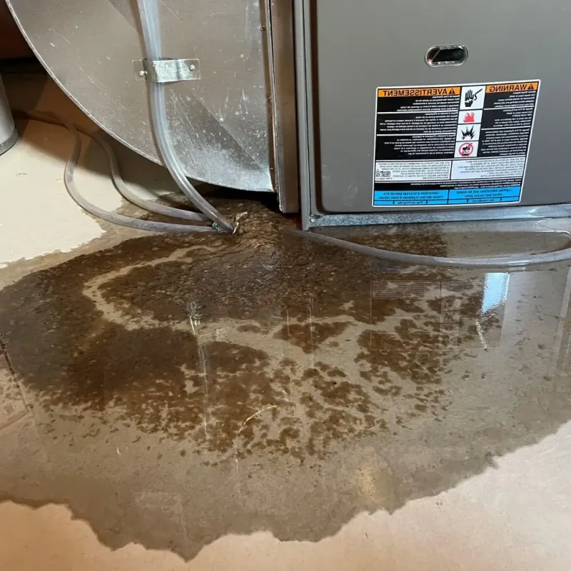 Pipe Burst and Leak Restoration in Wilberforce, OH