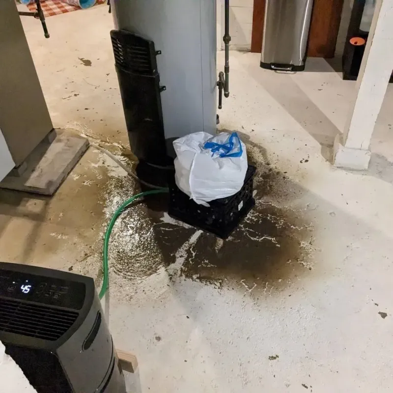 Sewage Backup Cleanup Service in Wilberforce, OH